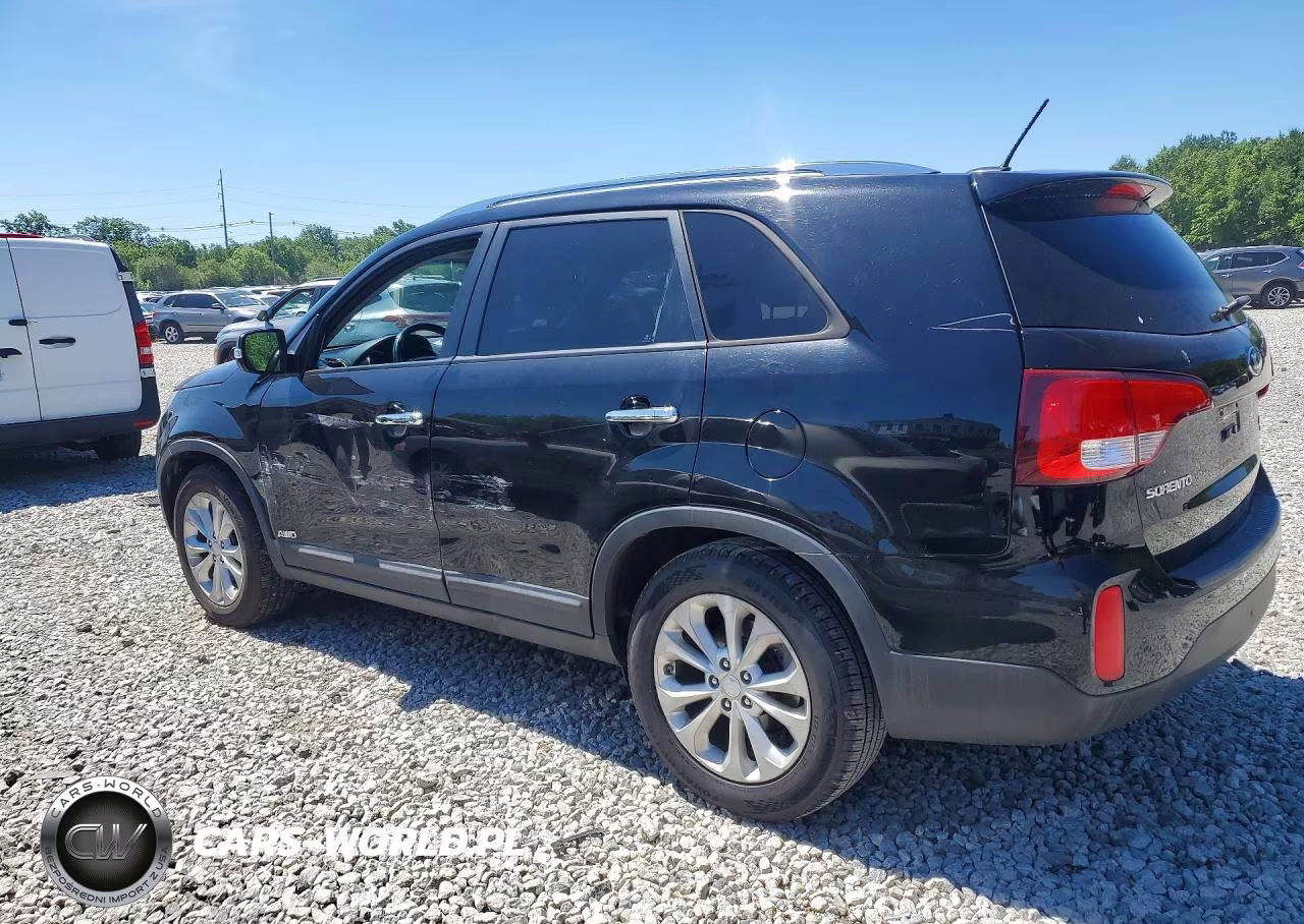 2014 Kia Sorento Ex VIN:5XYKUDA71EG498209 - 2