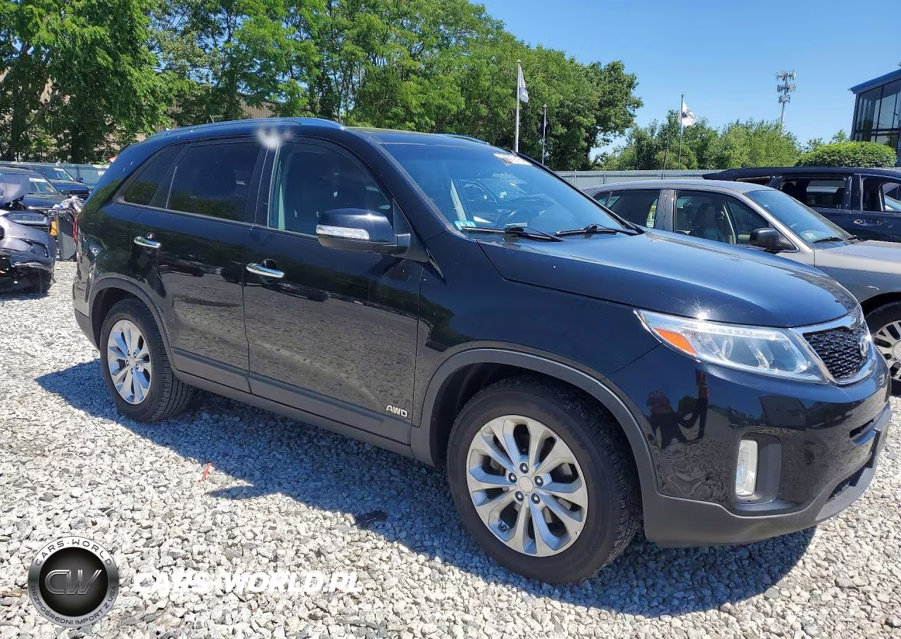 2014 Kia Sorento Ex VIN:5XYKUDA71EG498209 - 4