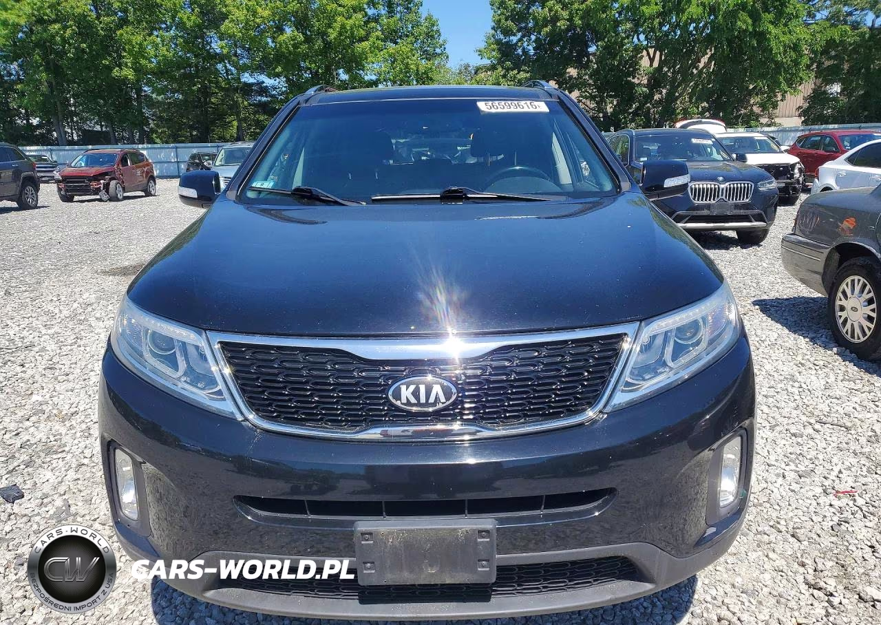 2014 Kia Sorento Ex VIN:5XYKUDA71EG498209 - 5