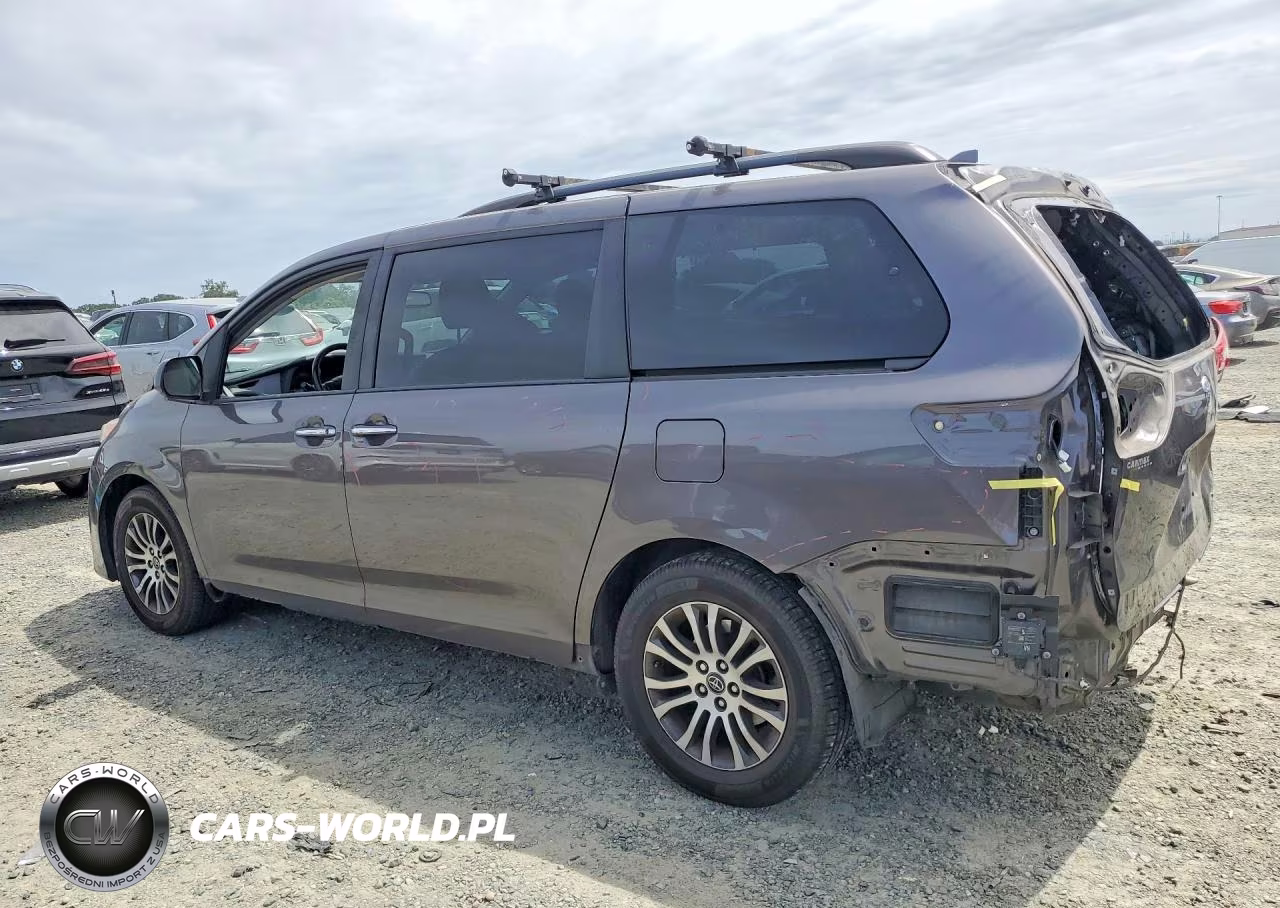 2019 Toyota Sienna Xle 8-Passenger VIN:5TDYZ3DC1KS989490 - 2