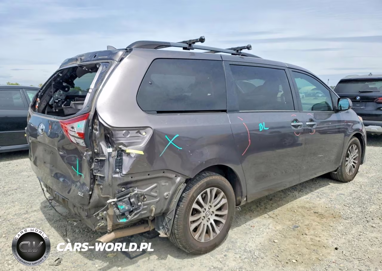 2019 Toyota Sienna Xle 8-Passenger VIN:5TDYZ3DC1KS989490 - 3