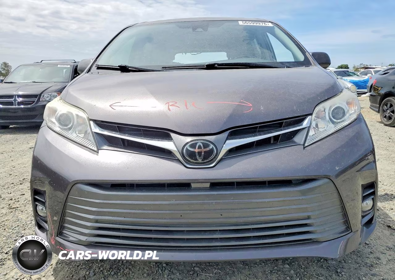 2019 Toyota Sienna Xle 8-Passenger VIN:5TDYZ3DC1KS989490 - 5