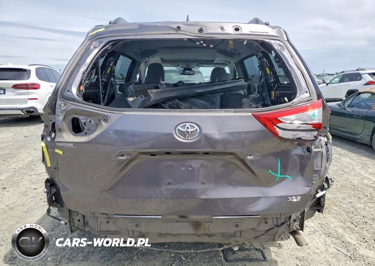 2019 Toyota Sienna Xle 8-Passenger VIN:5TDYZ3DC1KS989490 - 6