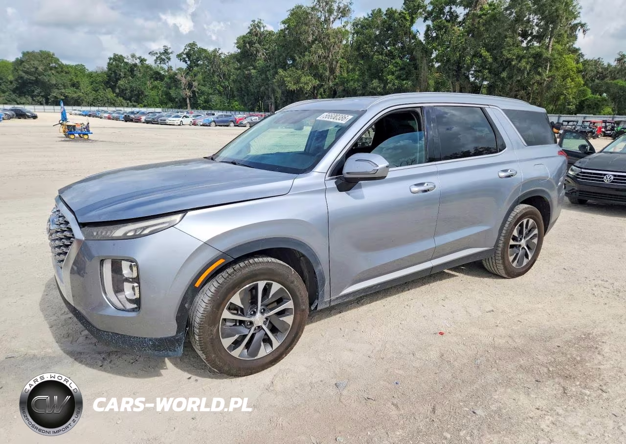 2020 Hyundai Palisade Sel – zdjęcie 1 z 13