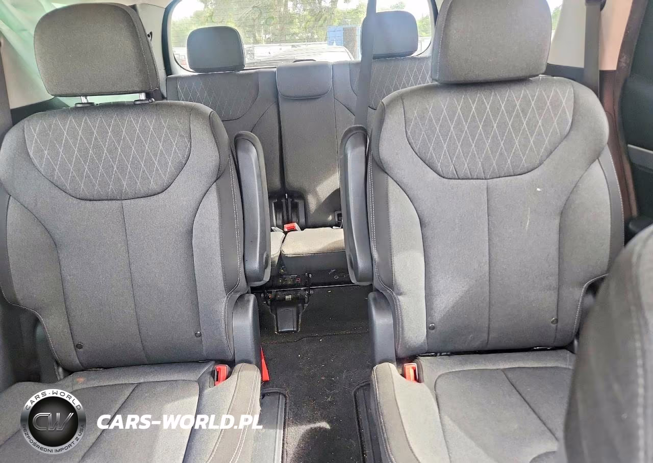2020 Hyundai Palisade Sel VIN:KM8R2DHE7LU052095 - 10