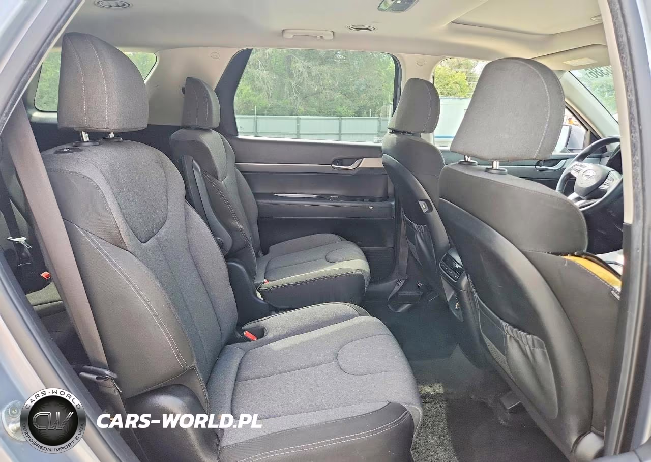 2020 Hyundai Palisade Sel VIN:KM8R2DHE7LU052095 - 11