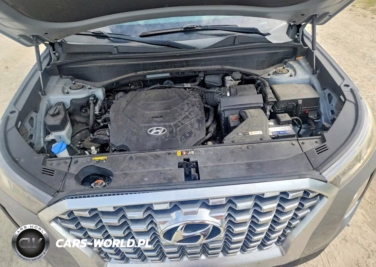 2020 Hyundai Palisade Sel VIN:KM8R2DHE7LU052095 - 12