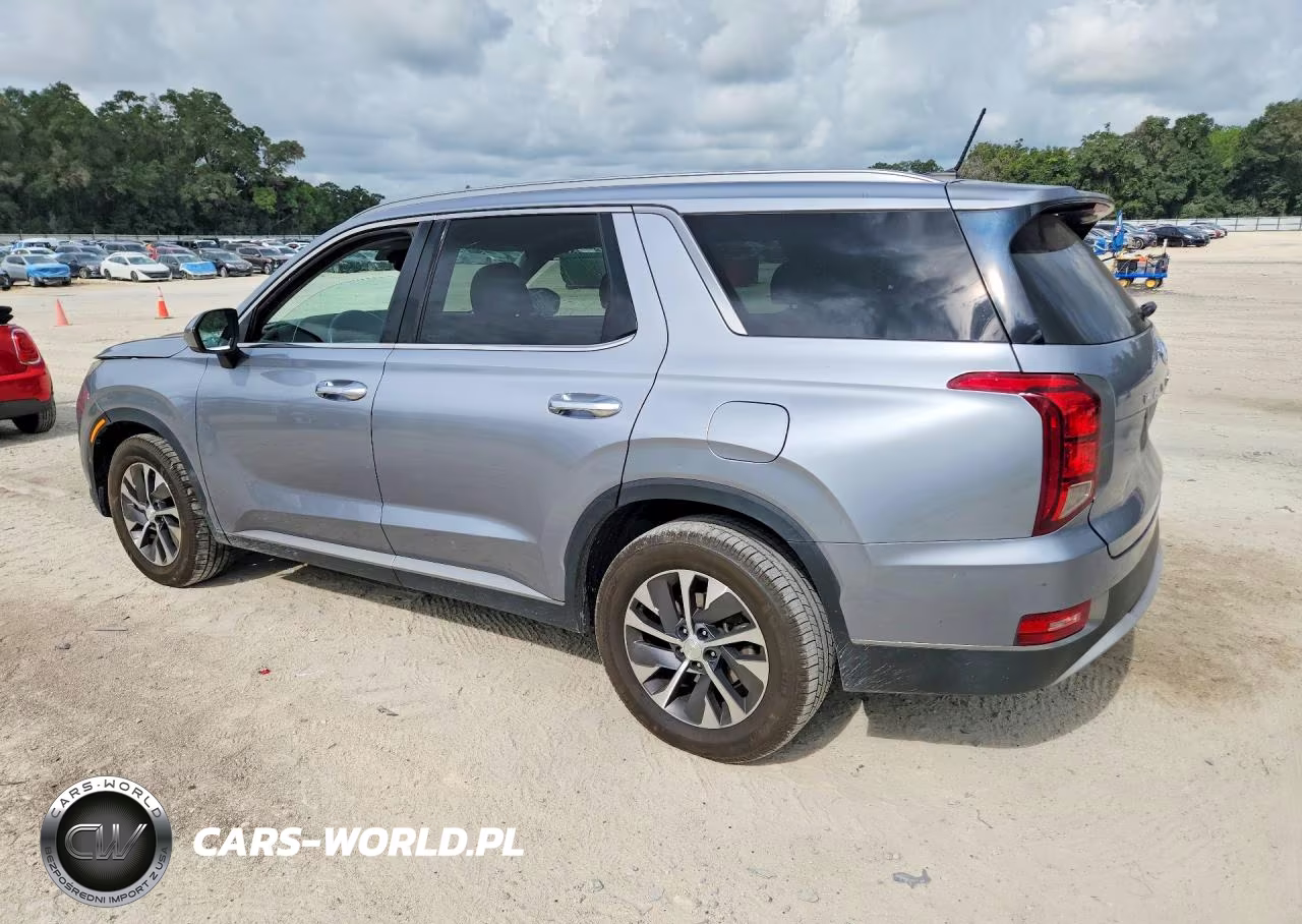 2020 Hyundai Palisade Sel VIN:KM8R2DHE7LU052095 - 2