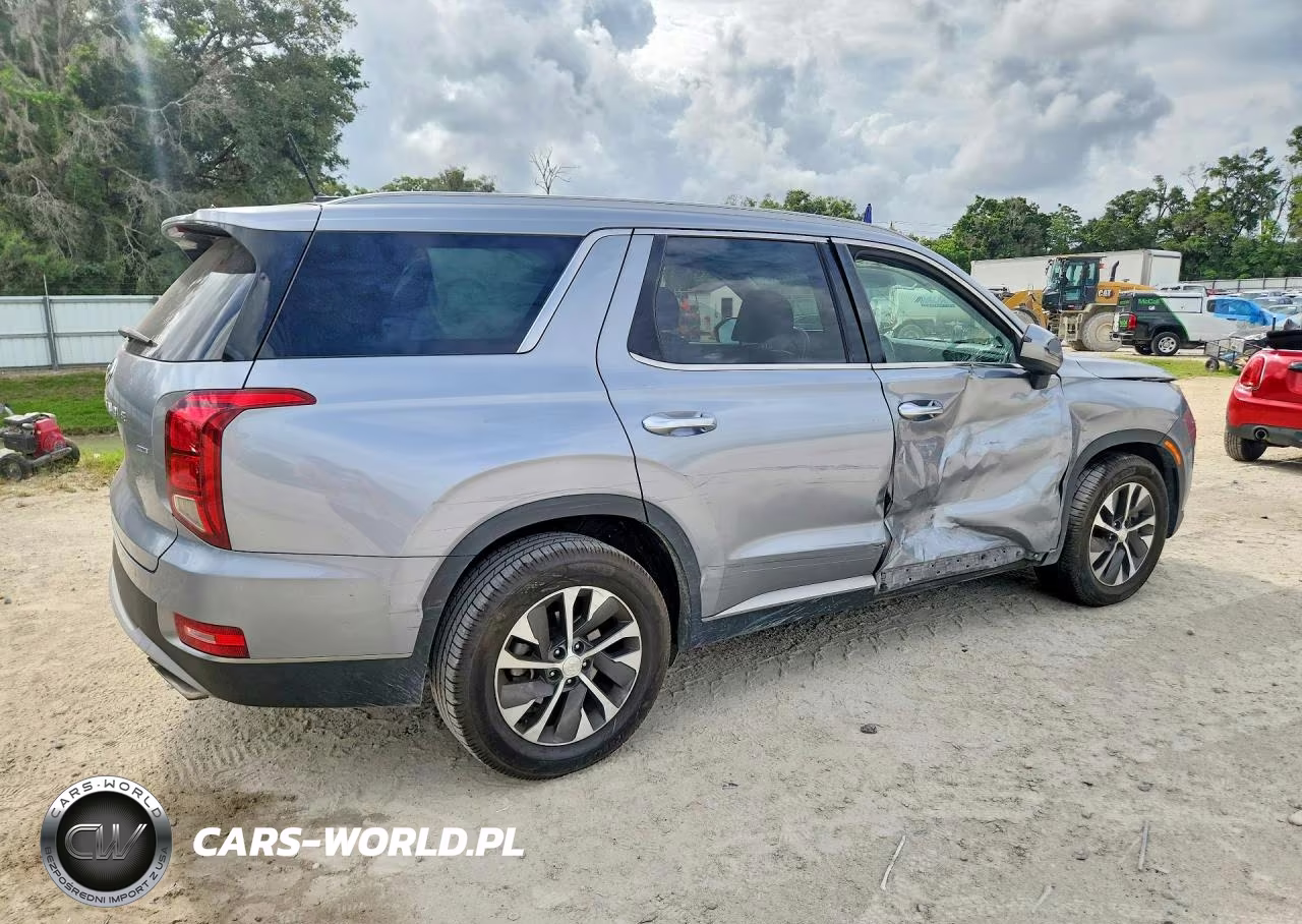2020 Hyundai Palisade Sel VIN:KM8R2DHE7LU052095 - 3