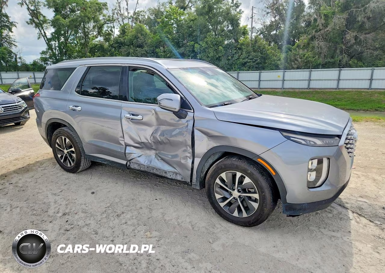 2020 Hyundai Palisade Sel VIN:KM8R2DHE7LU052095 - 4