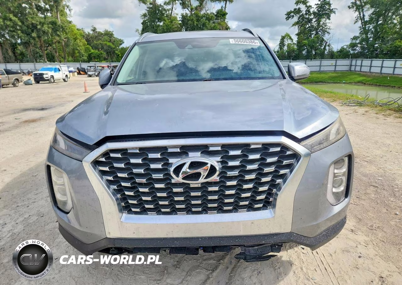 2020 Hyundai Palisade Sel VIN:KM8R2DHE7LU052095 - 5