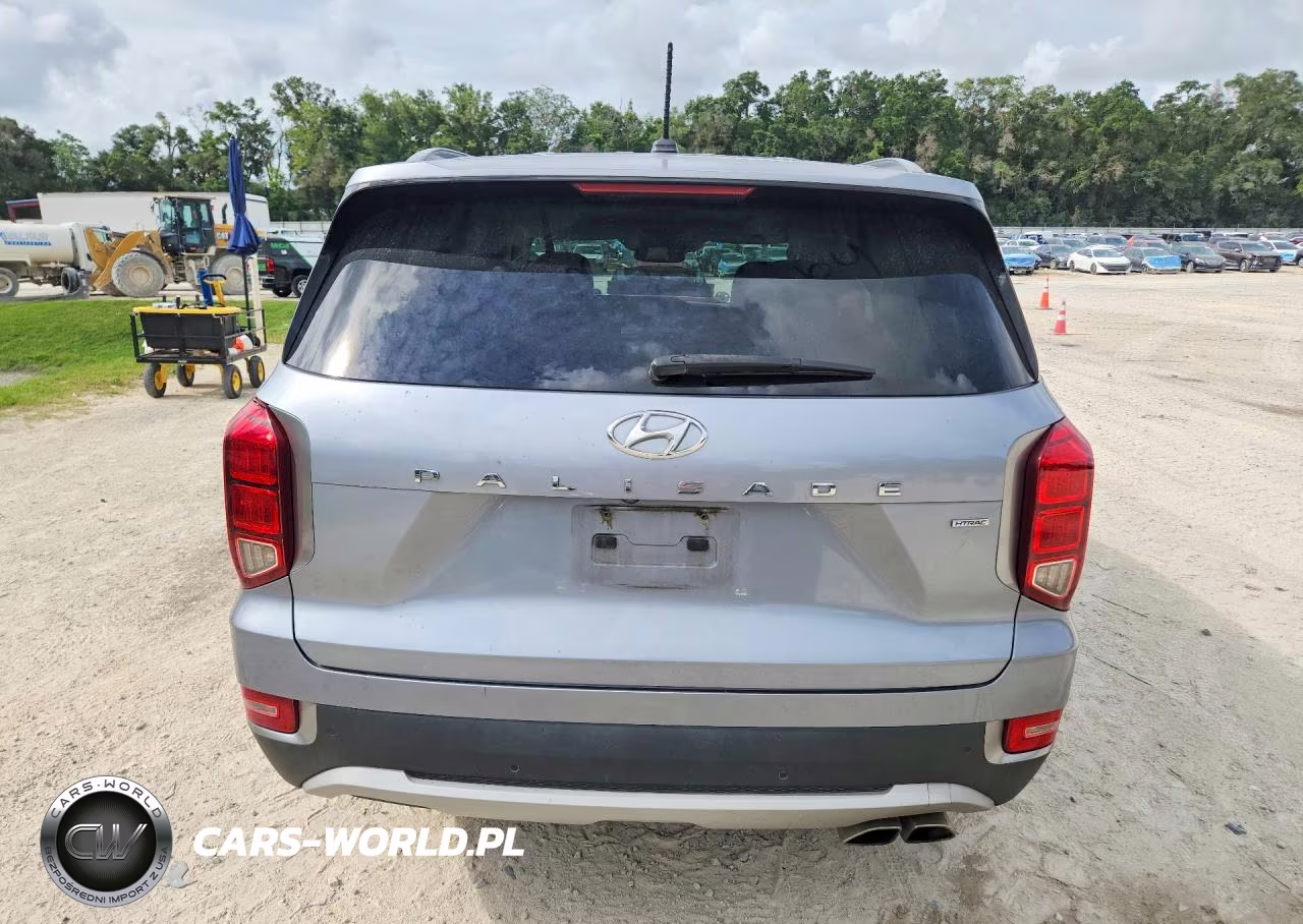 2020 Hyundai Palisade Sel VIN:KM8R2DHE7LU052095 - 6