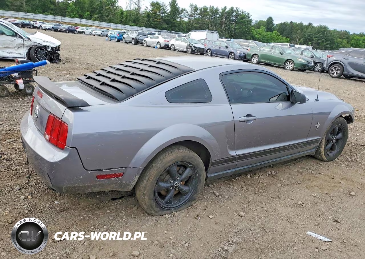 2007 Ford Mustang VIN:1ZVHT80N675218703 - 3