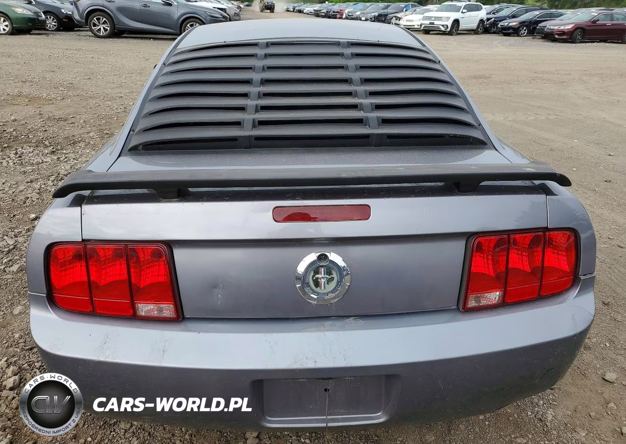 2007 Ford Mustang VIN:1ZVHT80N675218703 - 6