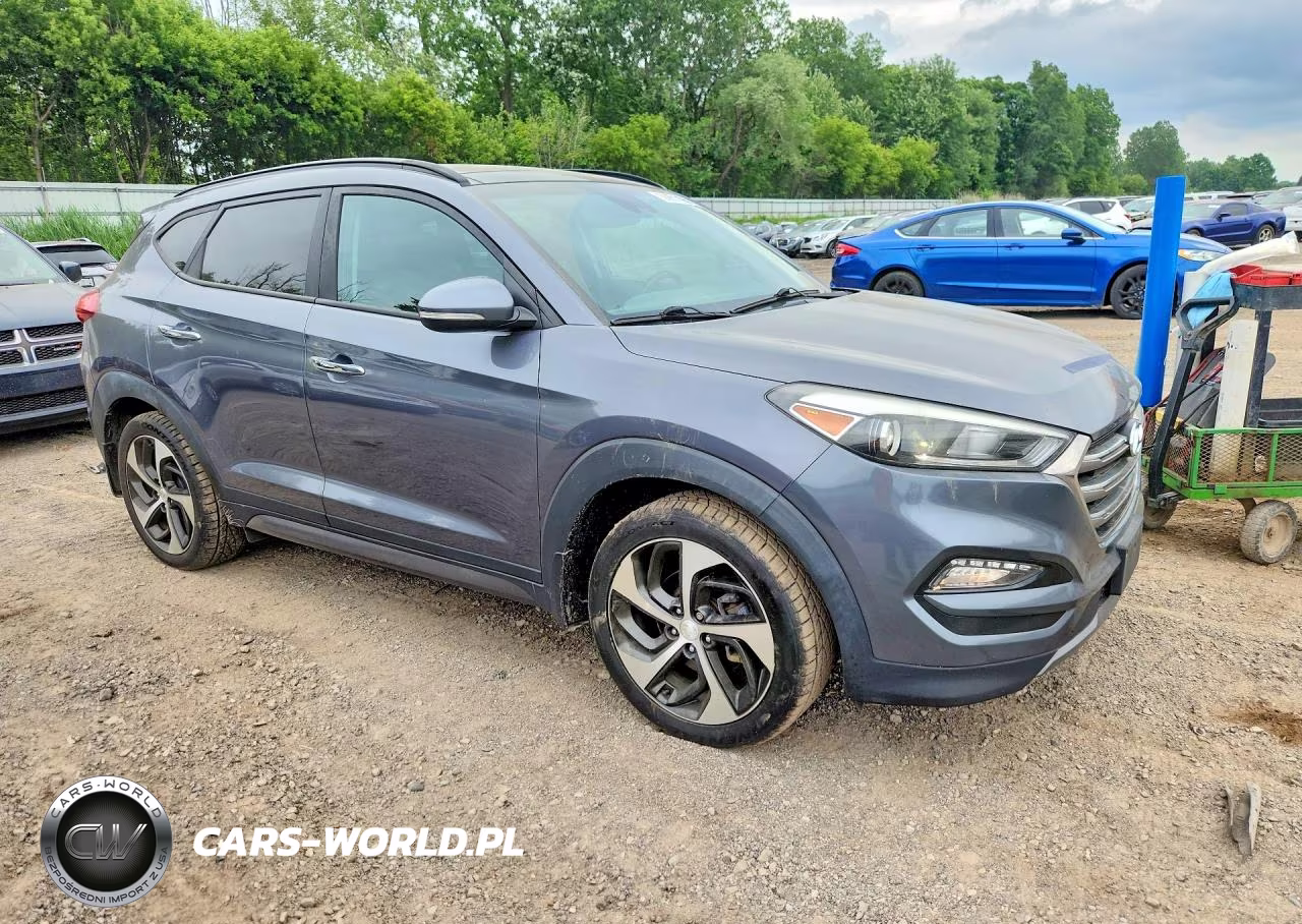 2016 Hyundai Tucson Limited VIN:KM8J3CA23GU044036 - 4