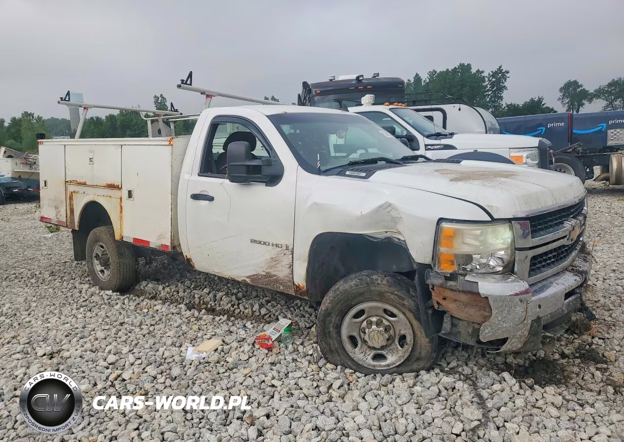 2009 Chevrolet Silverado K2500 Heavy Duty VIN:1GCHK44KX9F172174 - 4