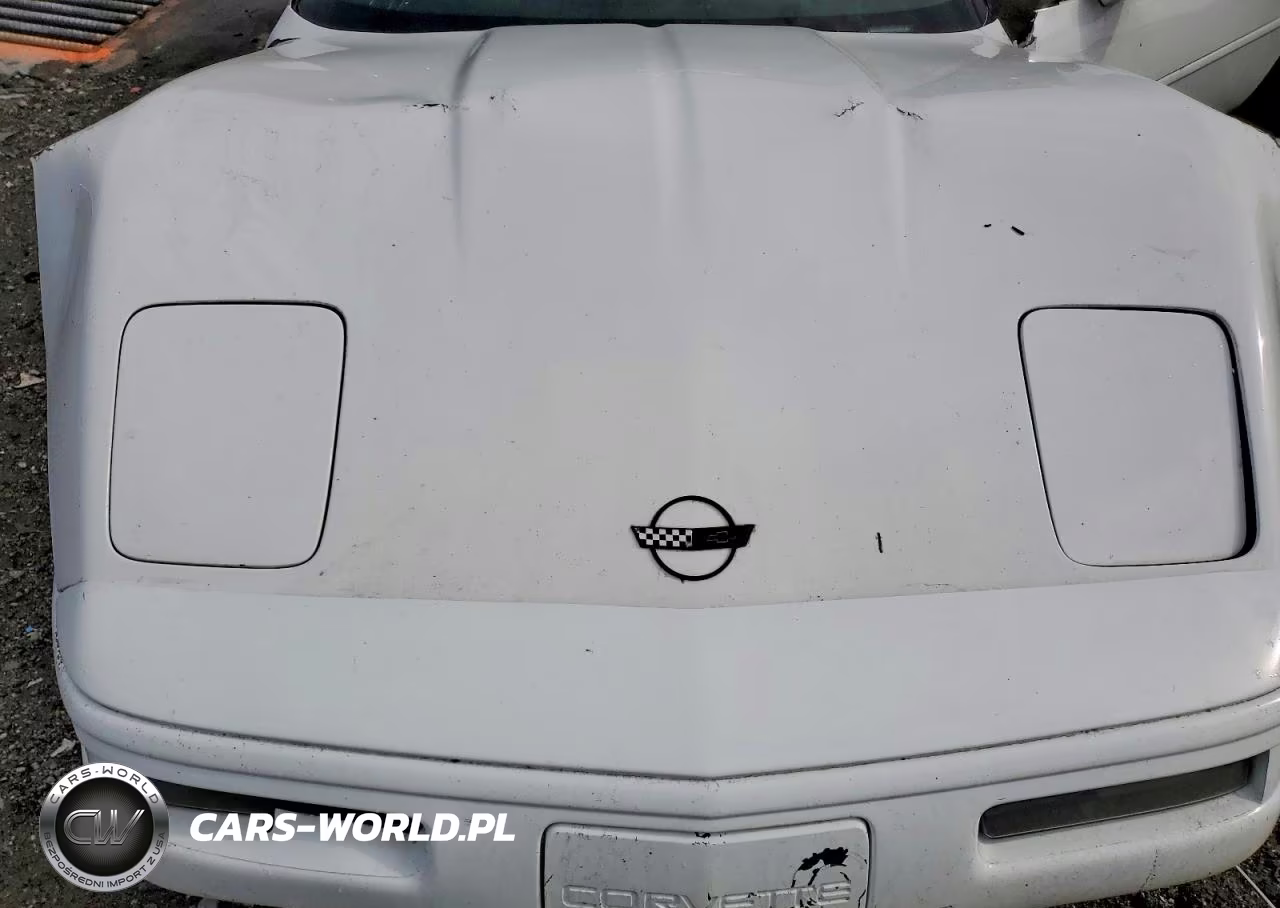 1996 Chevrolet Corvette VIN:1G1YY22P3T5117623 - 11