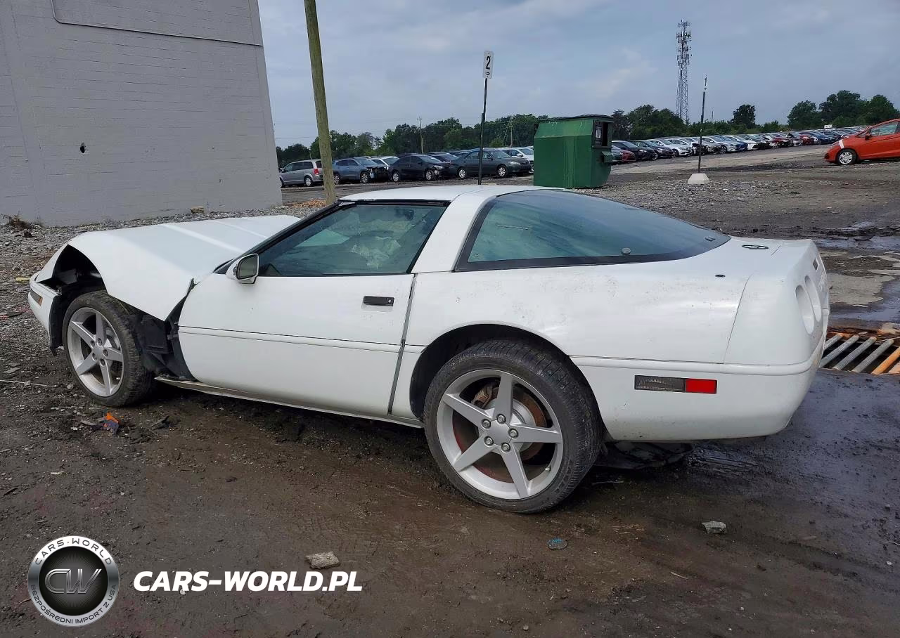 1996 Chevrolet Corvette VIN:1G1YY22P3T5117623 - 2