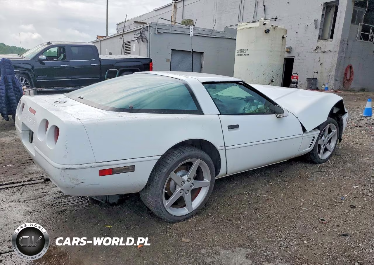 1996 Chevrolet Corvette VIN:1G1YY22P3T5117623 - 3