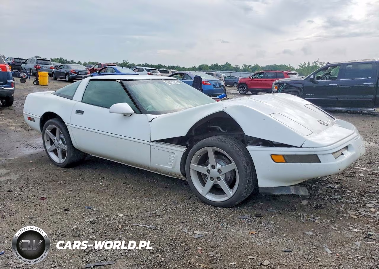 1996 Chevrolet Corvette VIN:1G1YY22P3T5117623 - 4