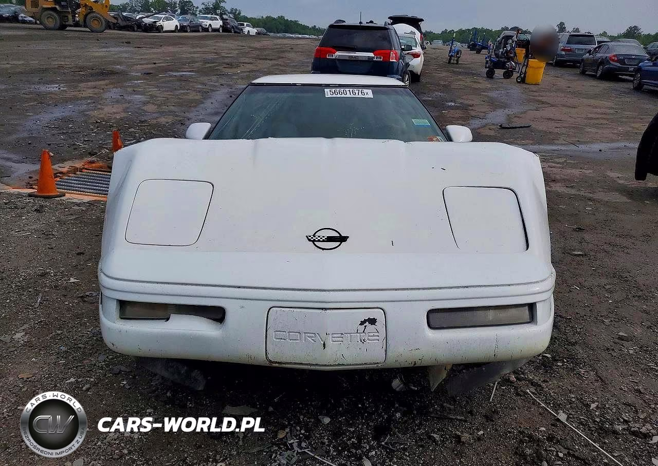 1996 Chevrolet Corvette VIN:1G1YY22P3T5117623 - 5