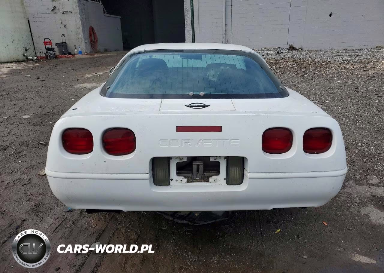 1996 Chevrolet Corvette VIN:1G1YY22P3T5117623 - 6