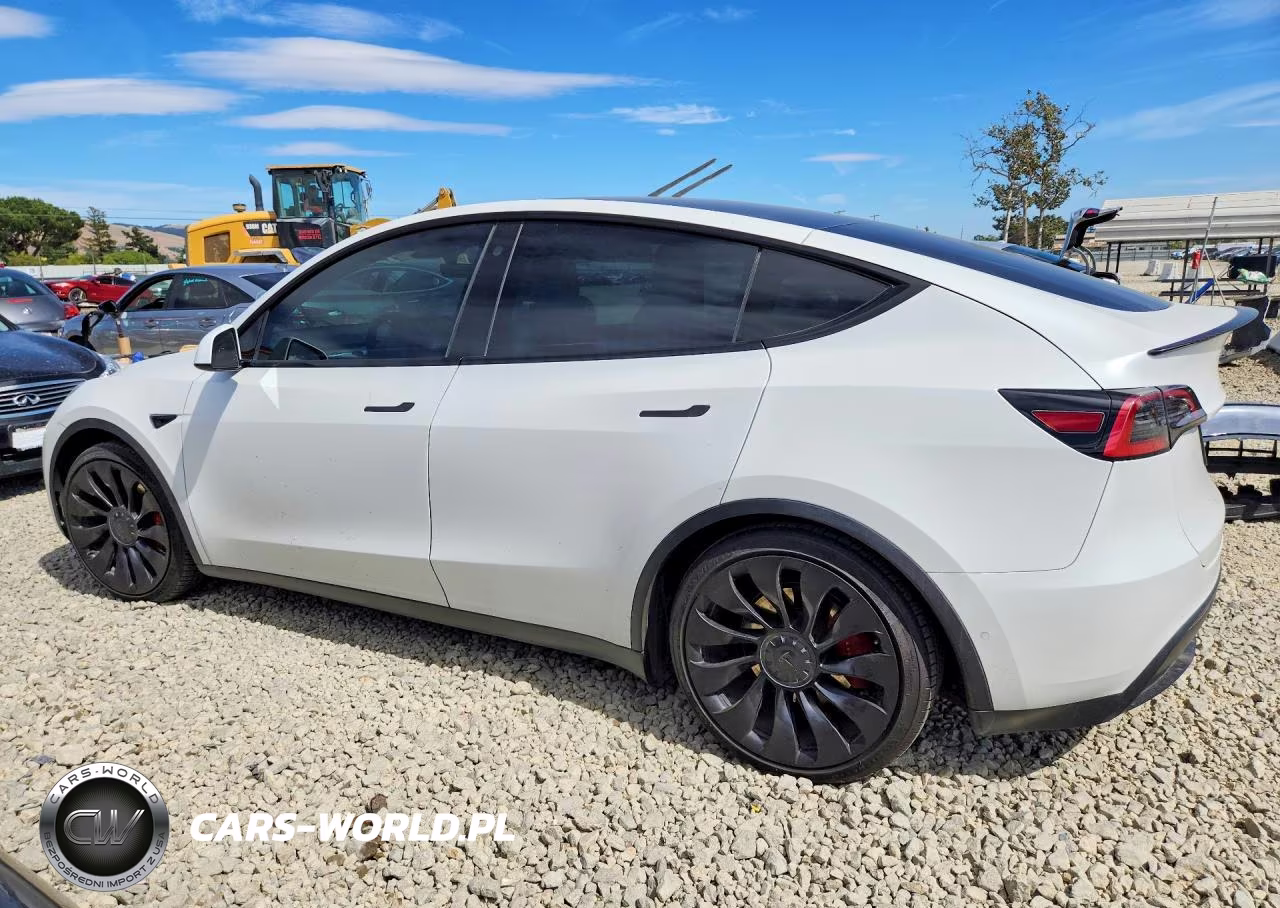 2022 Tesla Model Y VIN:7SAYGDEF9NF411282 - 2