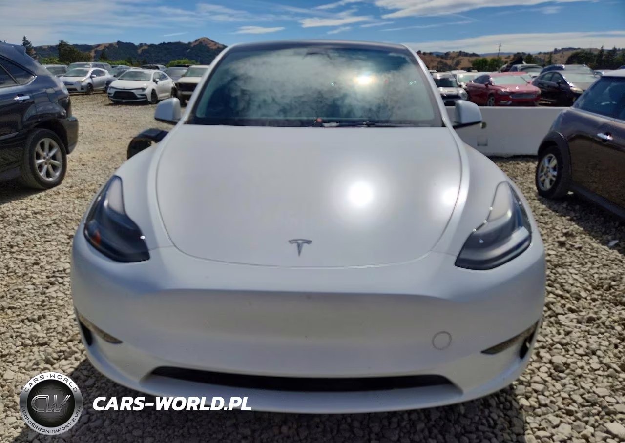 2022 Tesla Model Y VIN:7SAYGDEF9NF411282 - 5