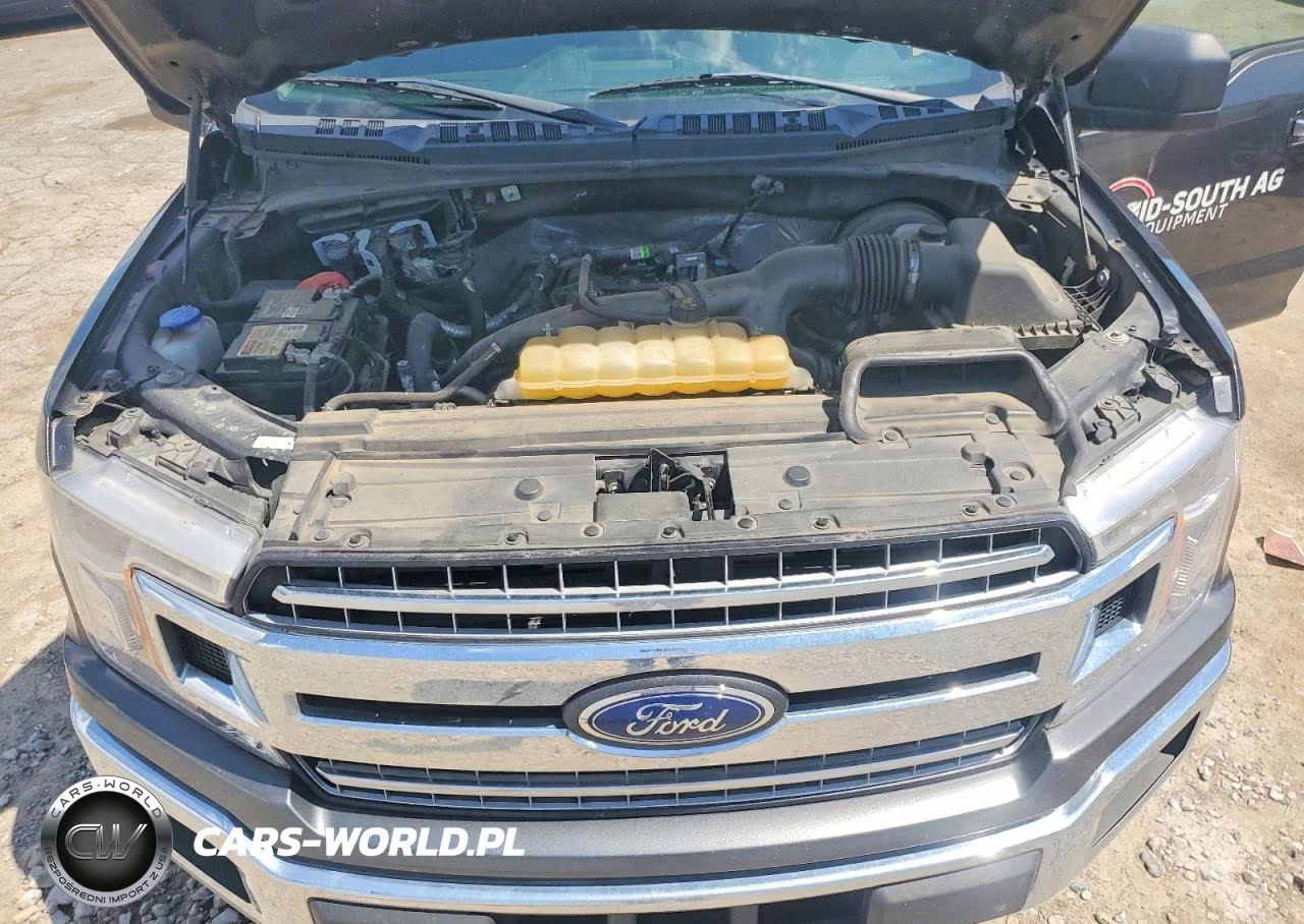 2020 Ford F150 Supercrew VIN:1FTEW1CP0LKF15365 - 11