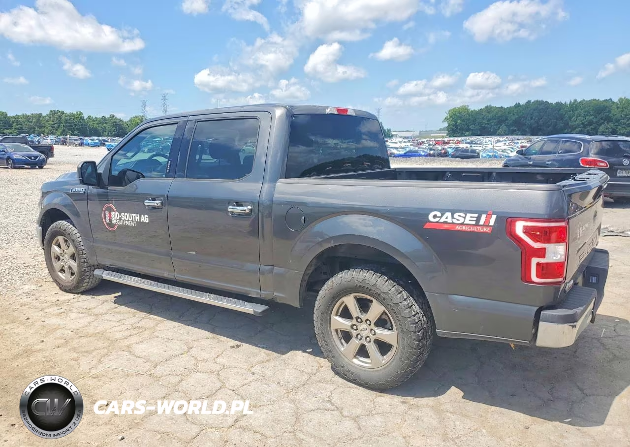 2020 Ford F150 Supercrew VIN:1FTEW1CP0LKF15365 - 2