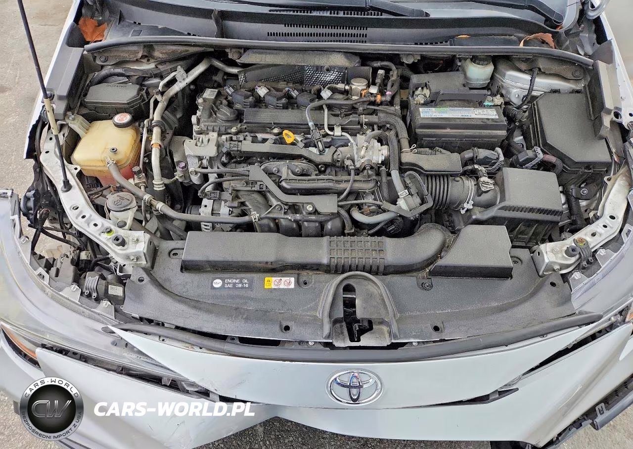 2020 Toyota Corolla Se VIN:JTDS4RCEXLJ027262 - 11