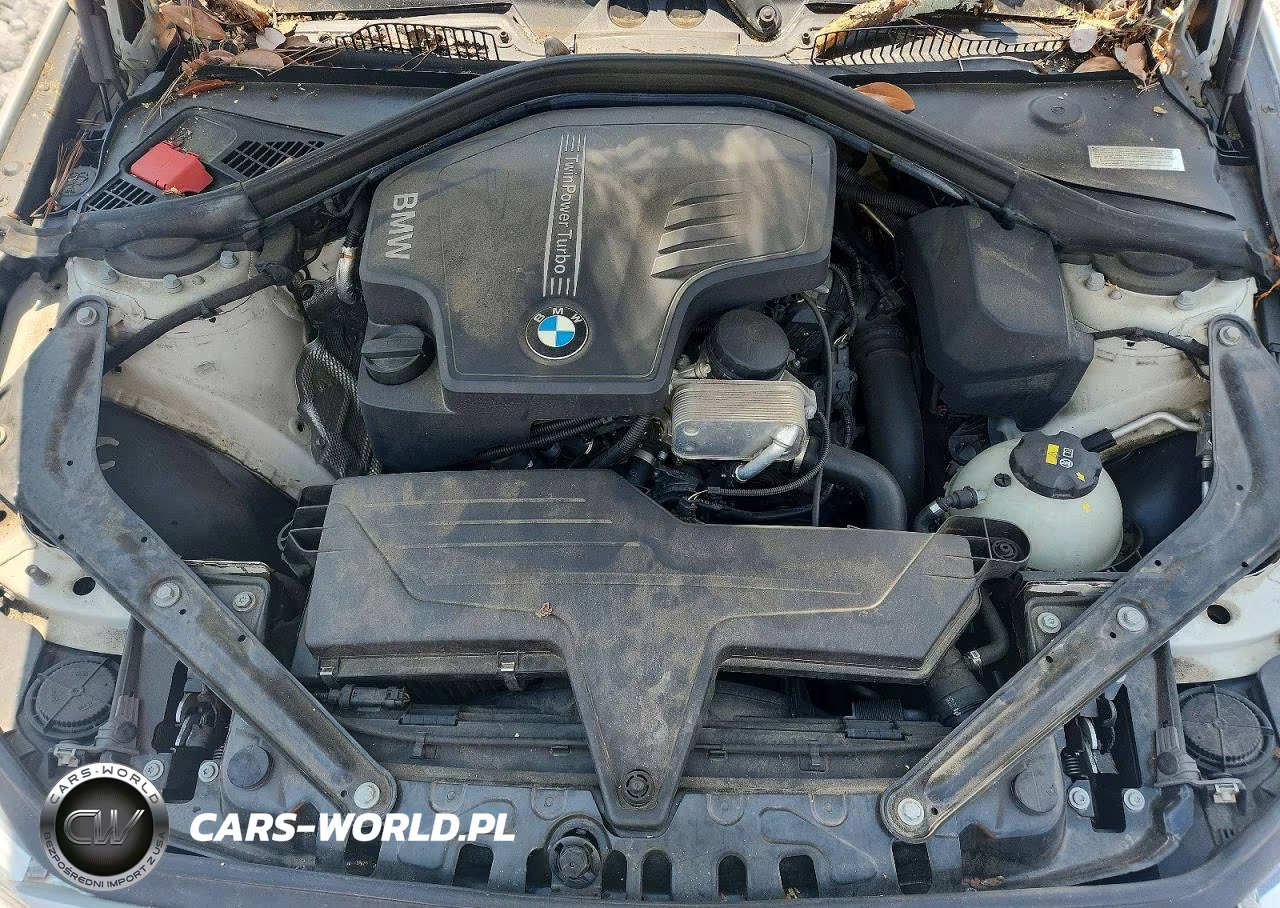 2016 BMW 228 I Sulev VIN:WBA1K9C59GV322947 - 11