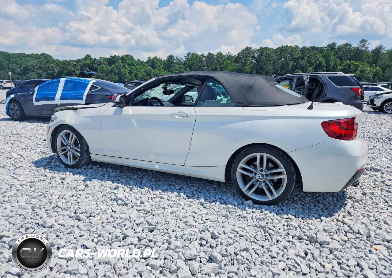 2016 BMW 228 I Sulev VIN:WBA1K9C59GV322947 - 2