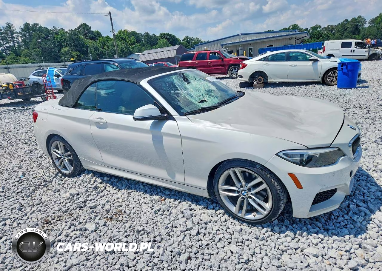 2016 BMW 228 I Sulev VIN:WBA1K9C59GV322947 - 4