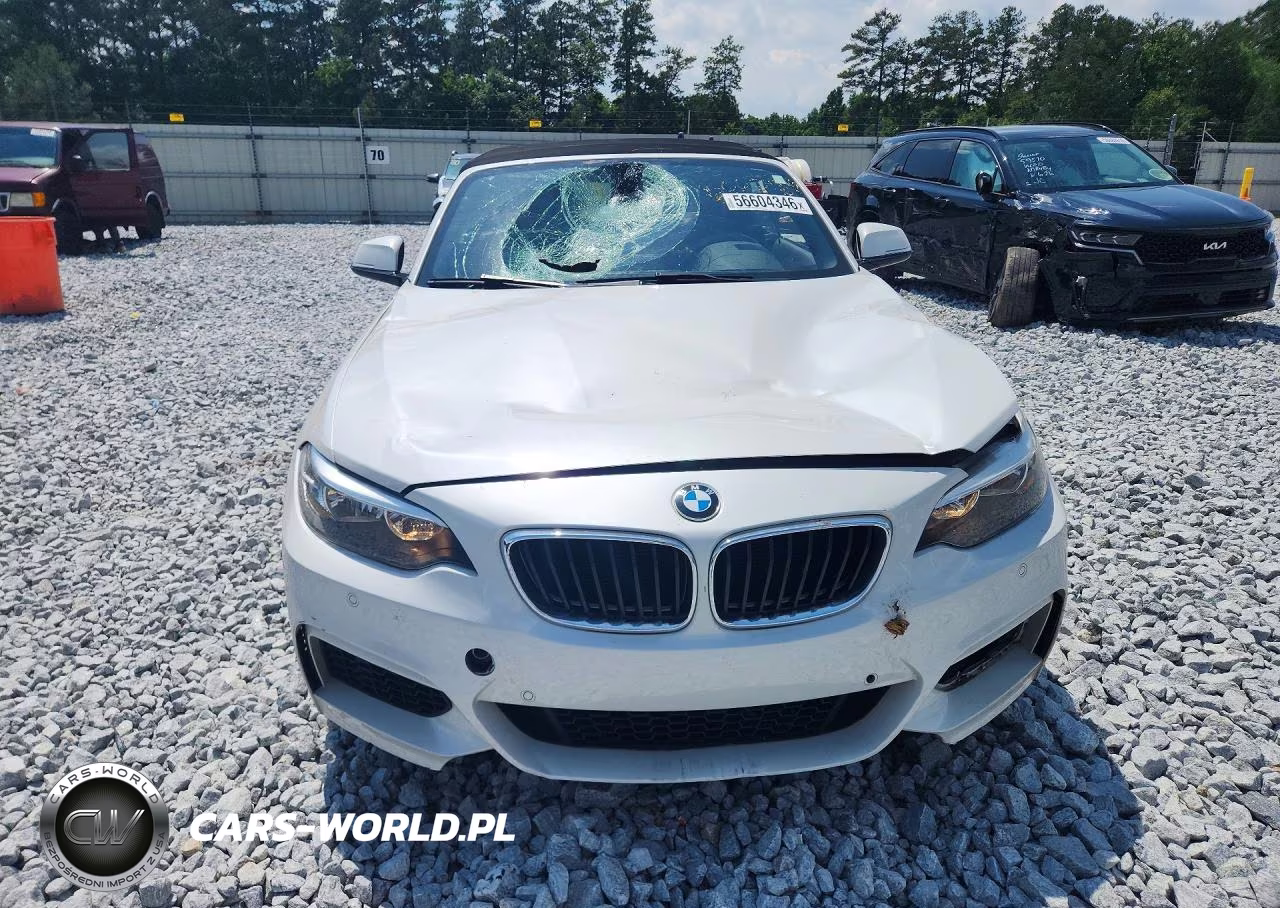 2016 BMW 228 I Sulev VIN:WBA1K9C59GV322947 - 5