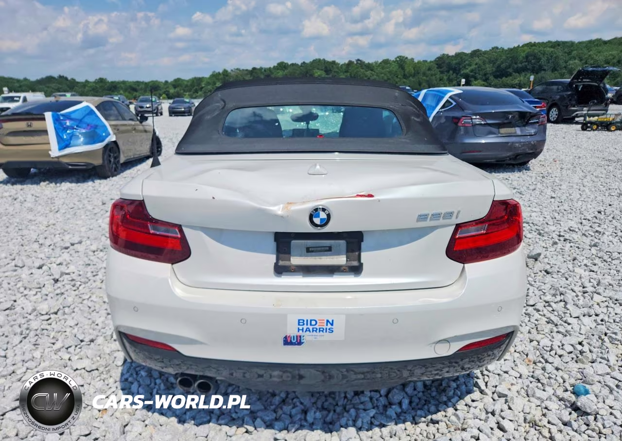 2016 BMW 228 I Sulev VIN:WBA1K9C59GV322947 - 6