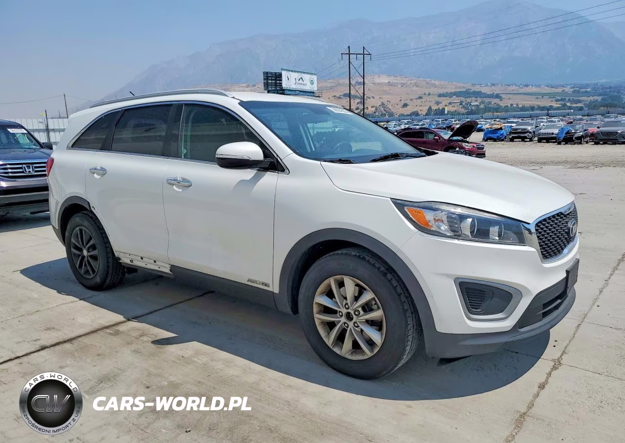 2016 Kia Sorento Lx V6 VIN:5XYPGDA51GG134399 - 4