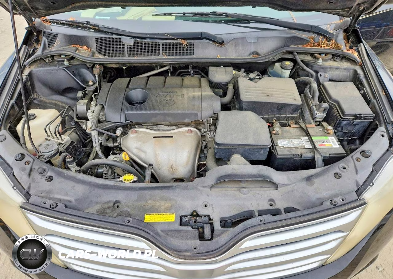 2010 Toyota Venza Fwd 4Cyl VIN:4T3ZA3BB2AU029596 - 11