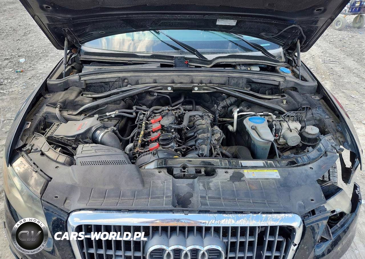 2012 Audi Q5 Premium Plus VIN:WA1LFAFP3CA115447 - 12