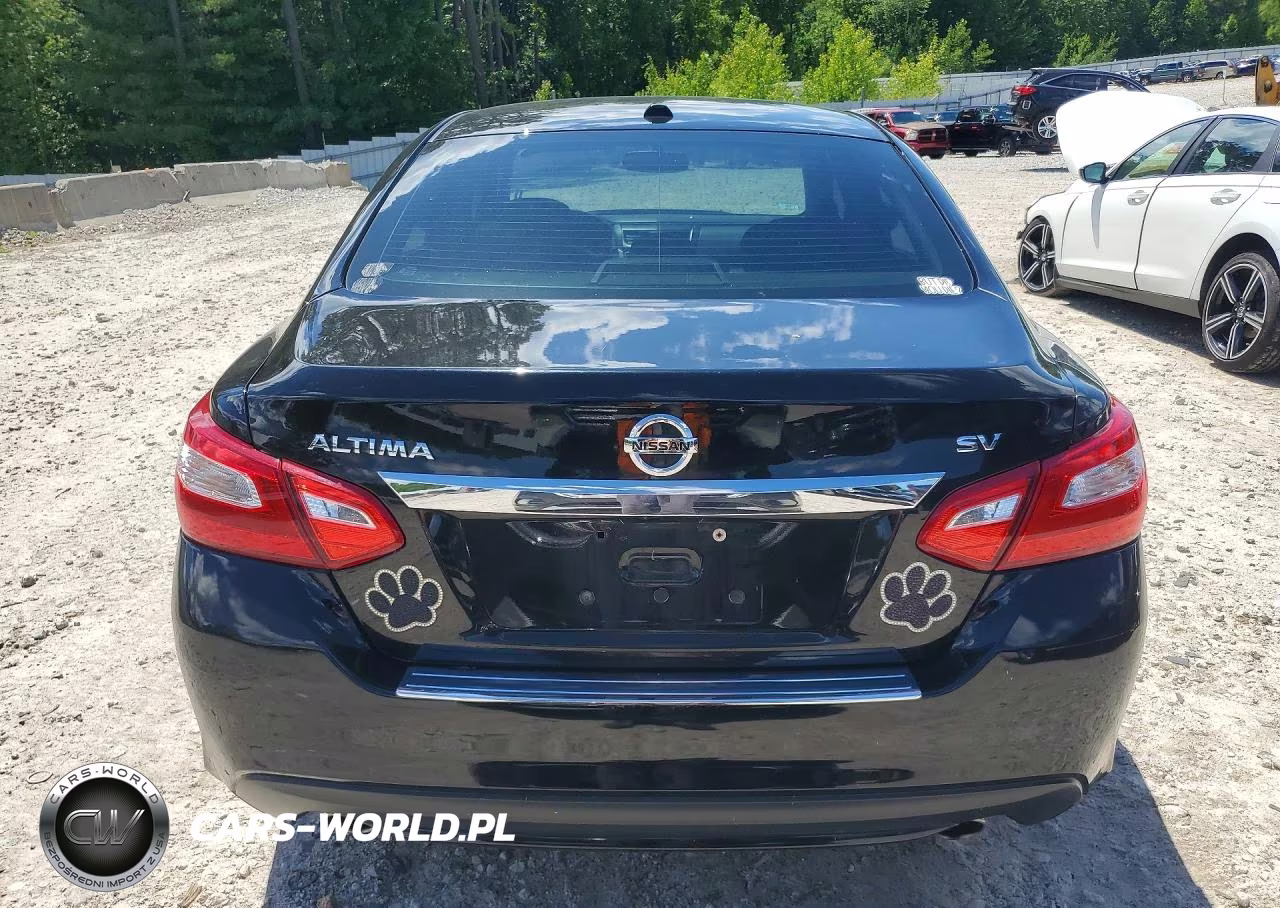 2017 Nissan Altima 2.5 Sv VIN:1N4AL3AP4HC216023 - 6