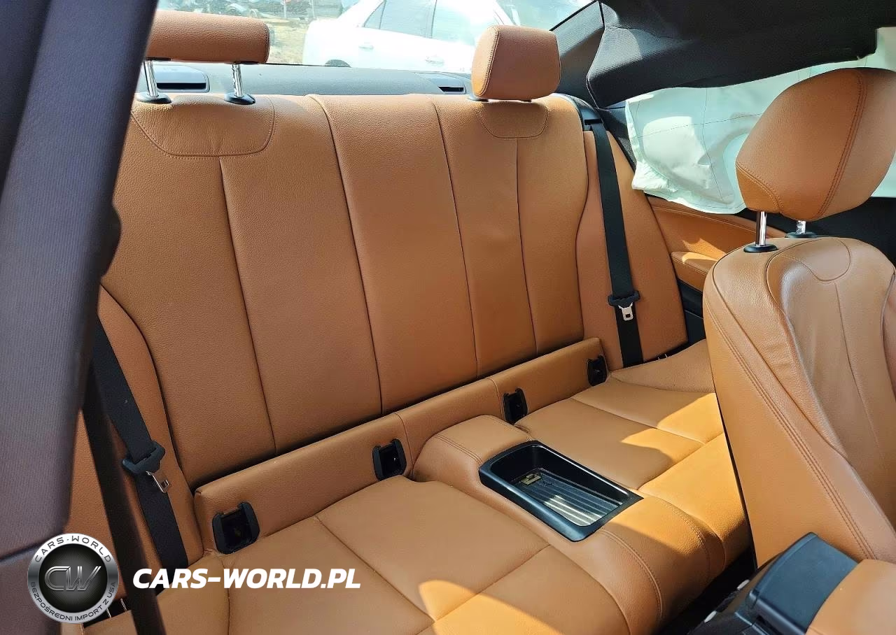 2020 BMW 230I VIN:WBA2J1C01L7F61357 - 10
