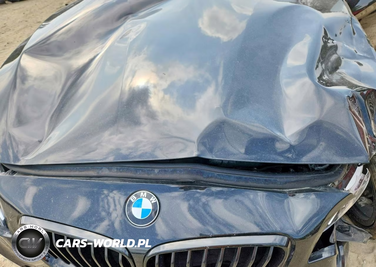 2020 BMW 230I VIN:WBA2J1C01L7F61357 - 11