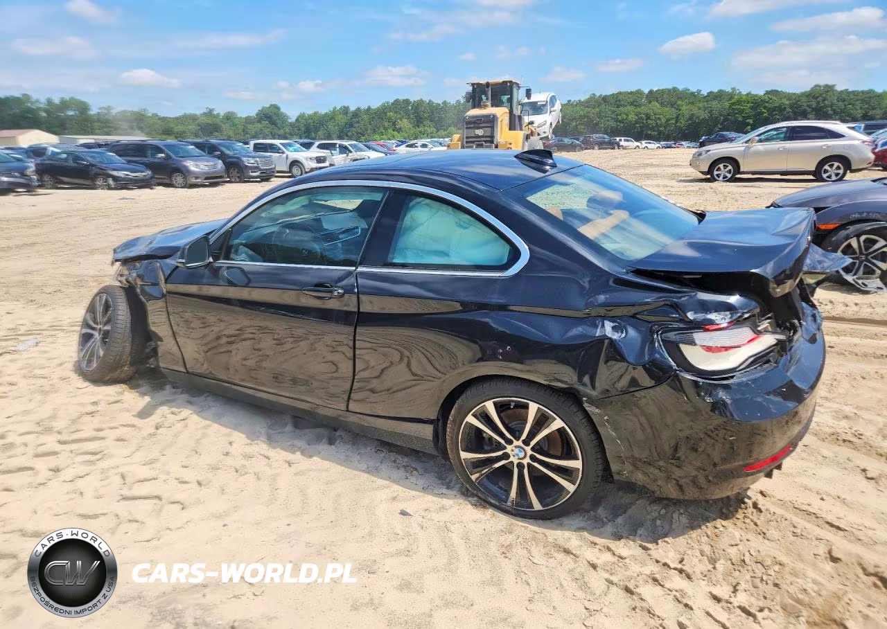 2020 BMW 230I VIN:WBA2J1C01L7F61357 - 2