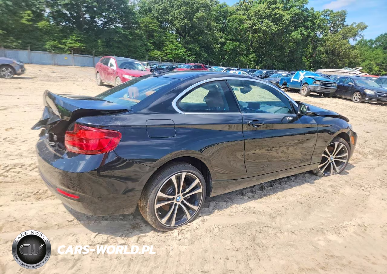 2020 BMW 230I VIN:WBA2J1C01L7F61357 - 3