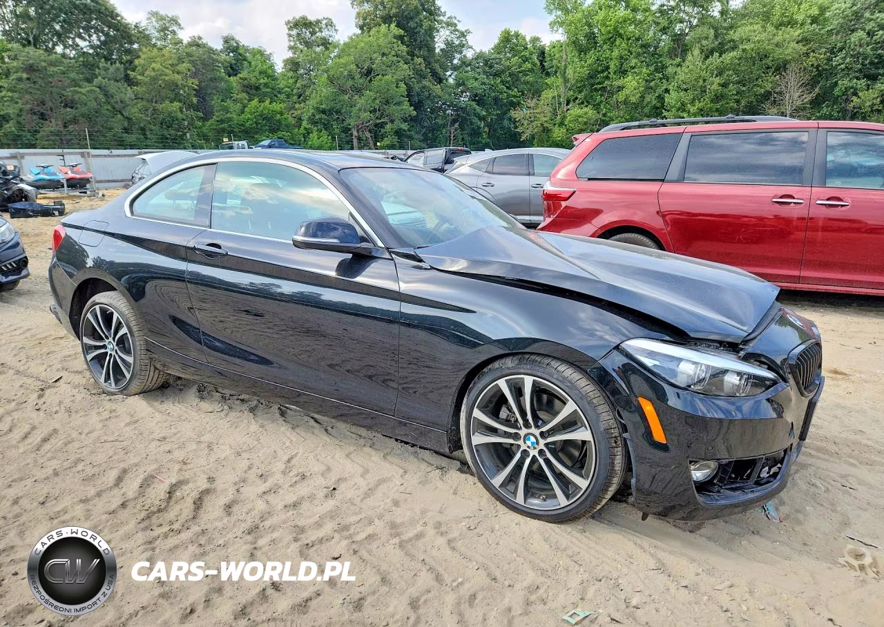 2020 BMW 230I VIN:WBA2J1C01L7F61357 - 4