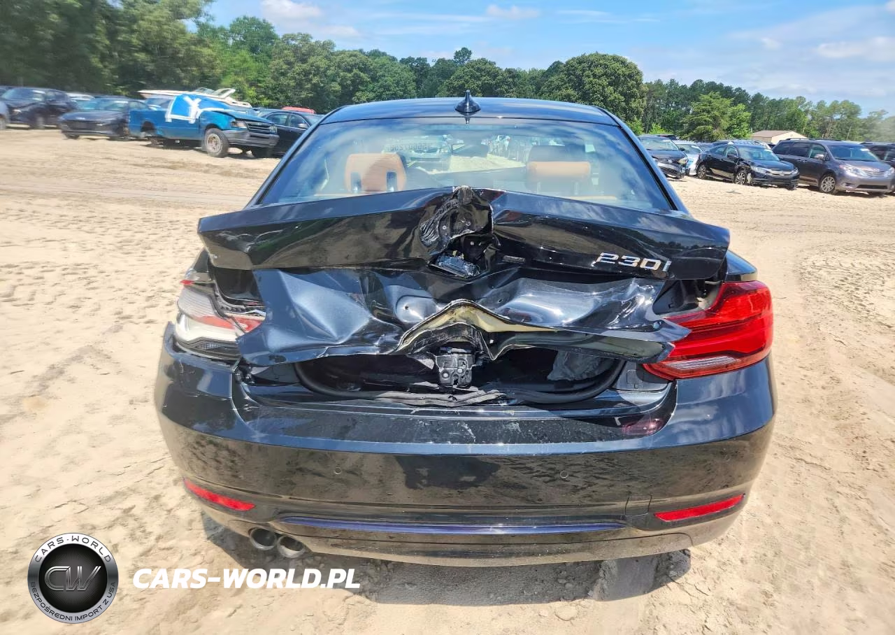 2020 BMW 230I VIN:WBA2J1C01L7F61357 - 6