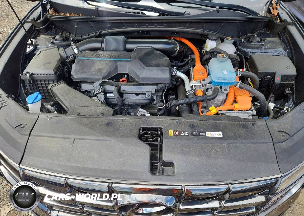 2024 Hyundai Tucson Limited VIN:KM8JFDD27RU159329 - 12