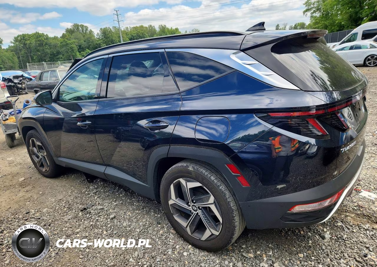2024 Hyundai Tucson Limited VIN:KM8JFDD27RU159329 - 2
