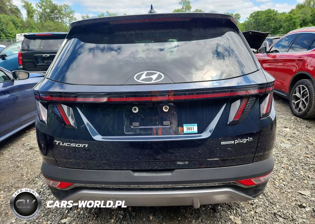 2024 Hyundai Tucson Limited VIN:KM8JFDD27RU159329 - 6