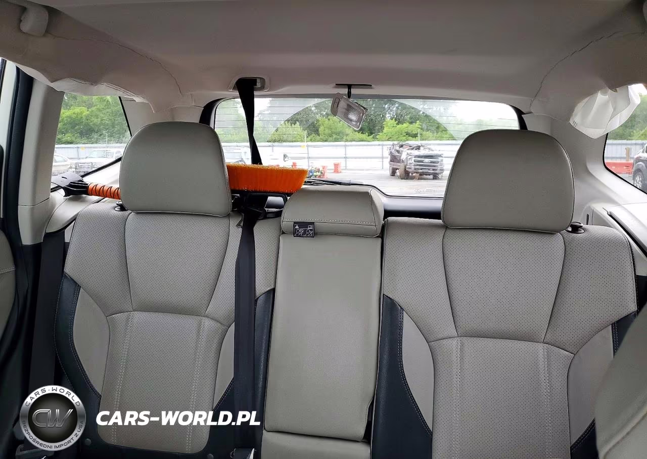2019 Subaru Forester Limited VIN:JF2SKASC3KH516505 - 10